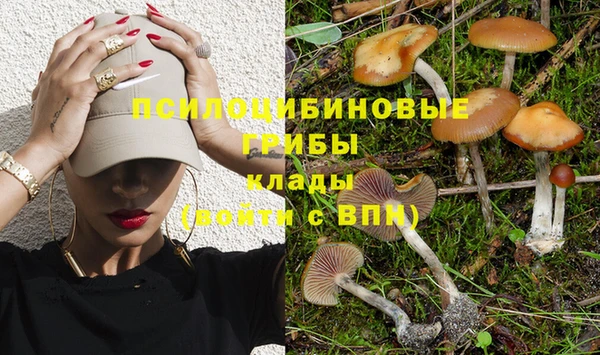 марки nbome Алексин