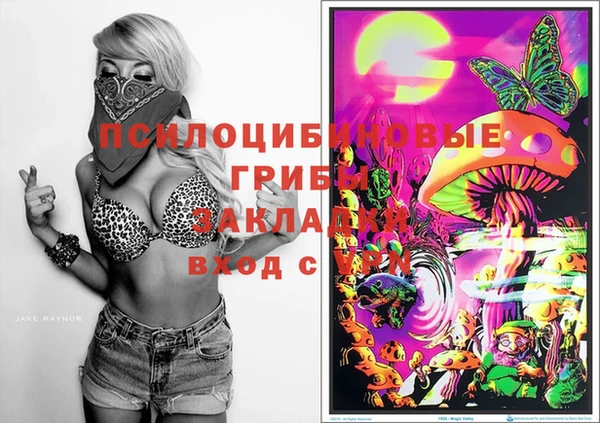 шишки Алексеевка