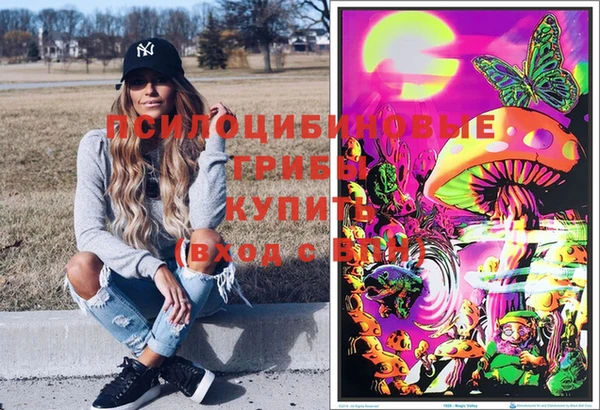 винт Алзамай