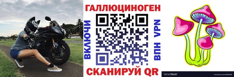 Галлюциногенные грибы MAGIC MUSHROOMS МЕГА маркетплейс Андреаполь как найти наркотики